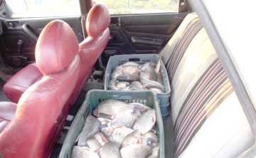 300 kilograme de peşte, confiscate de poliţişti
